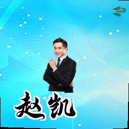 赵凯